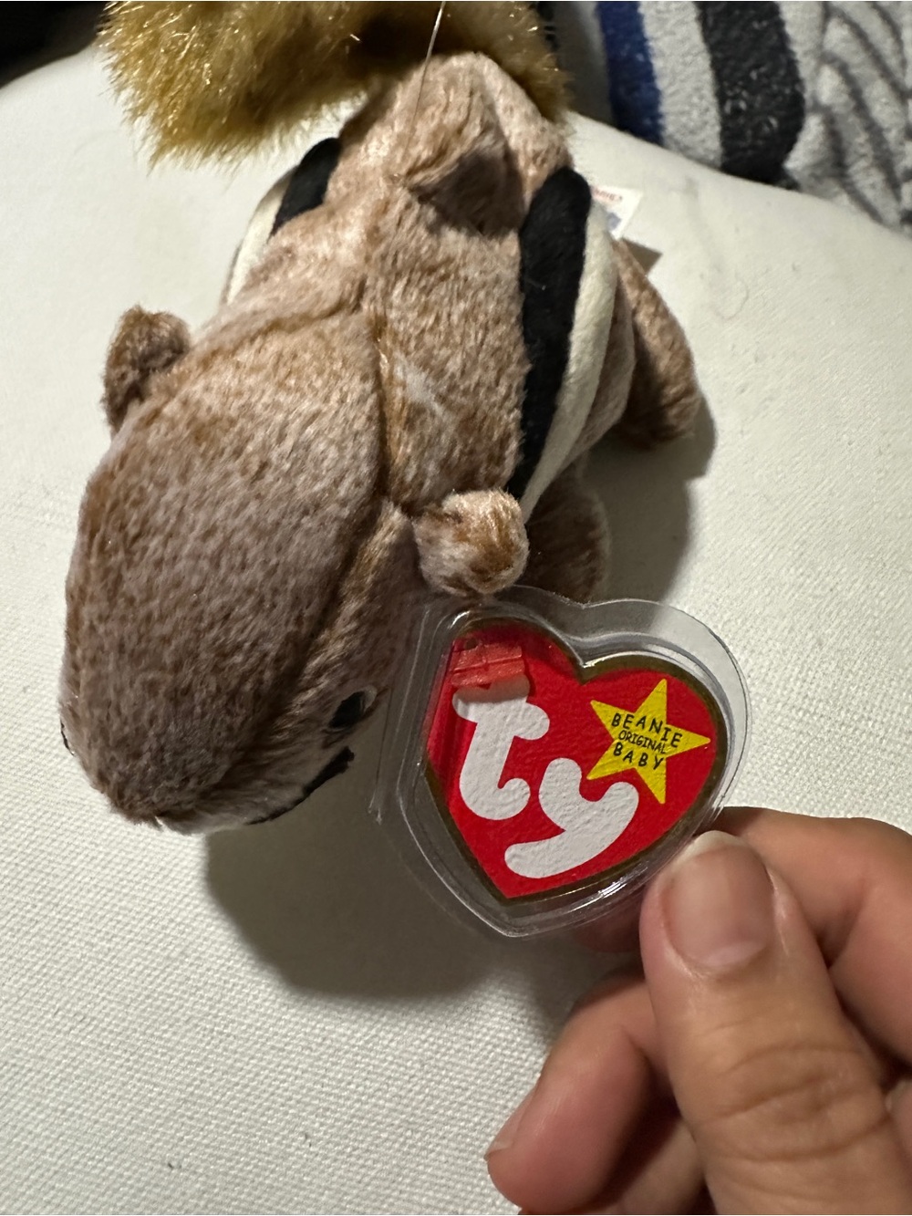 Ty Brown Chipmunk Beanie Baby Plush with Heart Tag
